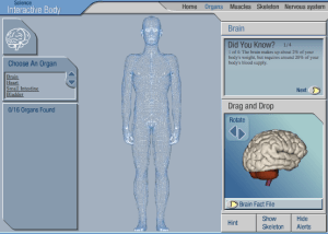Spiel auf bb.co.uk: Human Body Organs