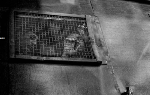 Cairo Undone Screenshot aus der Slideshow "Cairo Undone"