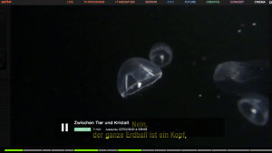 Bildschirmfoto 2015-05-29 um 17.24.20